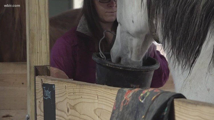 'It was right to me' | Woman saves horses and a mini-donkey from Tenn. wildfires