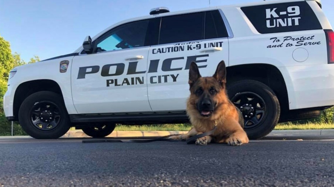 Plain City police K9 dies after being diagnosed with lymphoma | 11alive.com