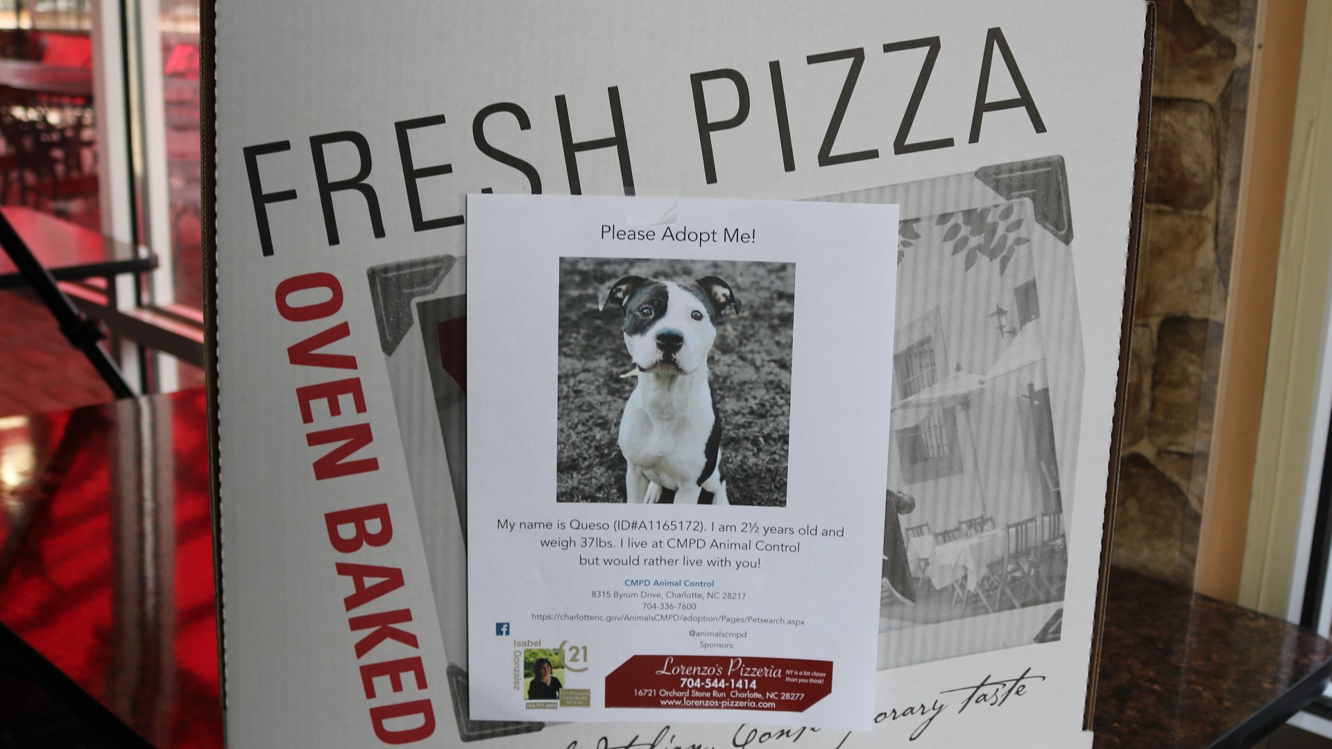 Every box from Lorenzo's Pizzeria will include a photo of a dog, cat or bird that is up for adoption in Charlotte.