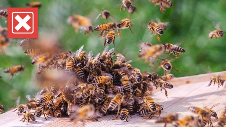 No, jumping into water won't make a swarm of bees leave. Instead, try this