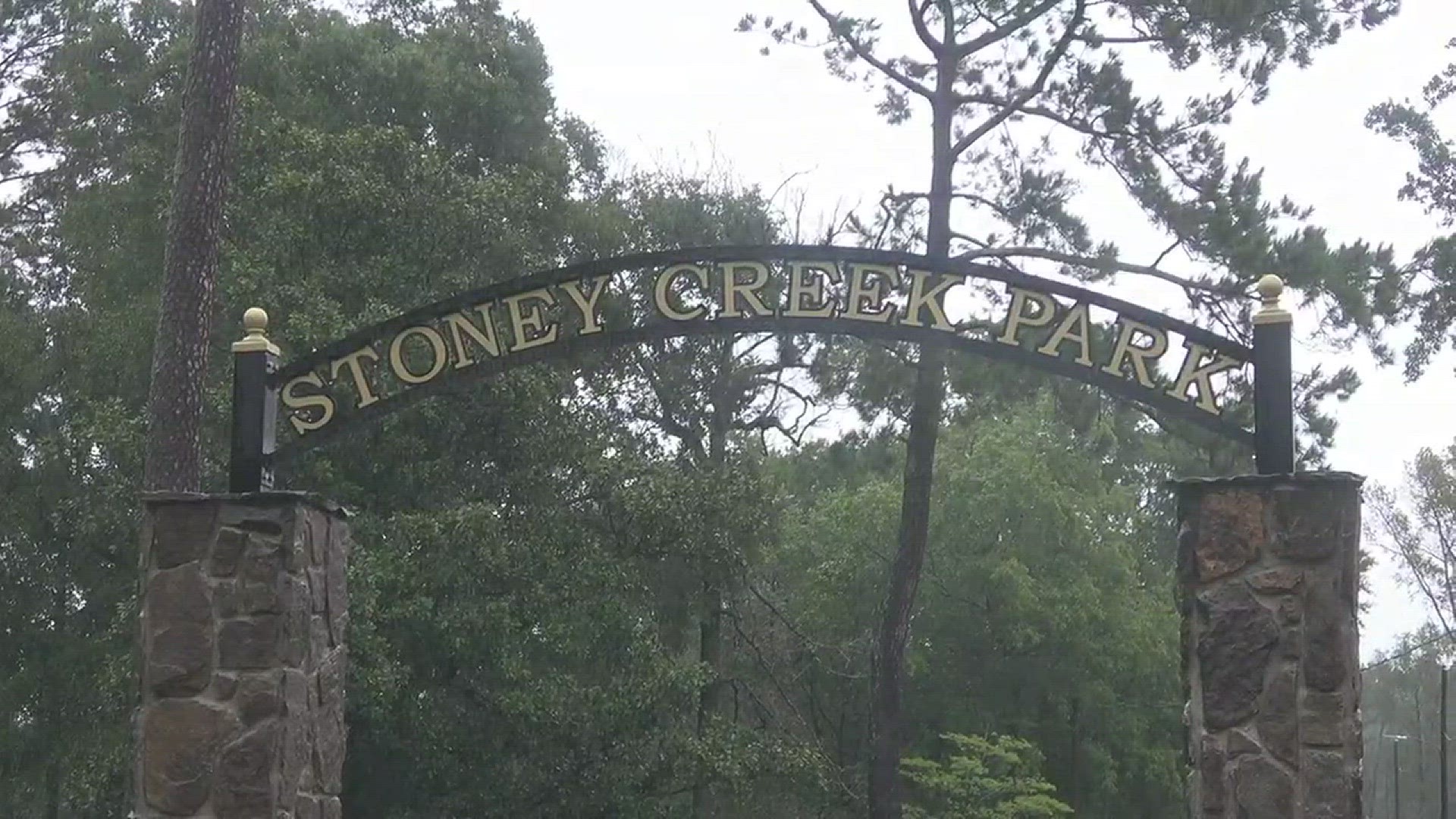 Flood waters overtook cars, roads and a park in Goldsboro, North Carolina. Video: LSM Brandon Clement/Brett Adair