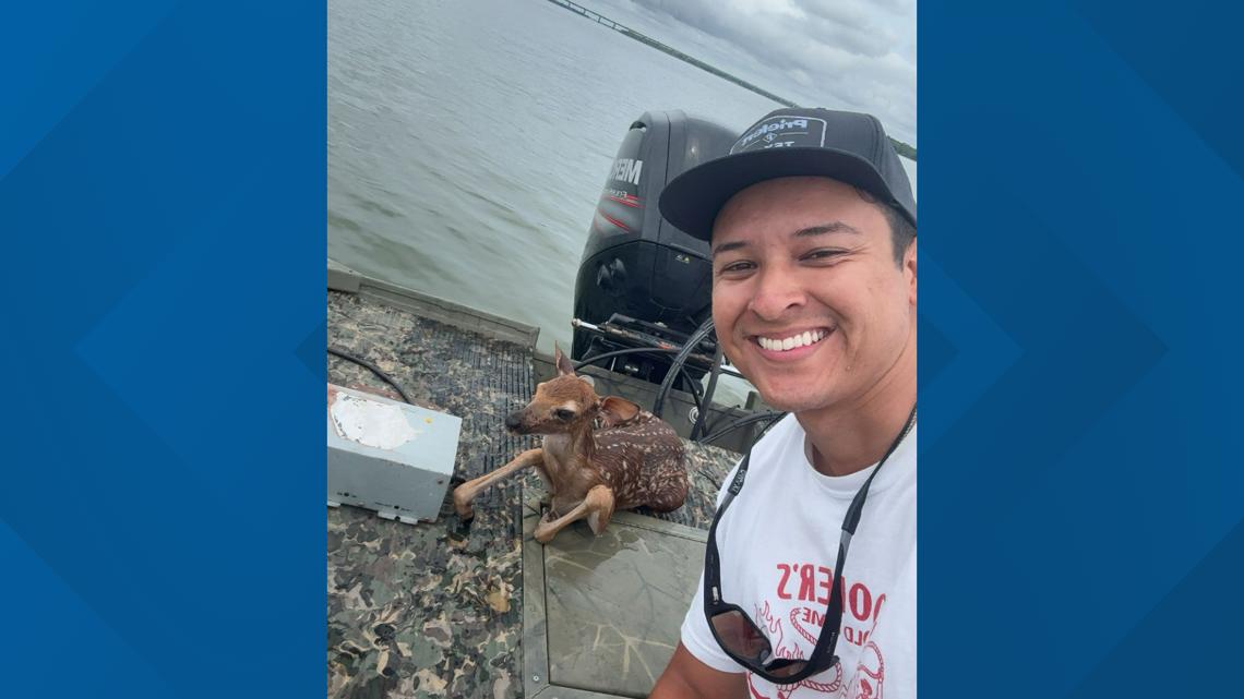 Man saves baby deer from drowning in Lake Lewisville on Memorial Day