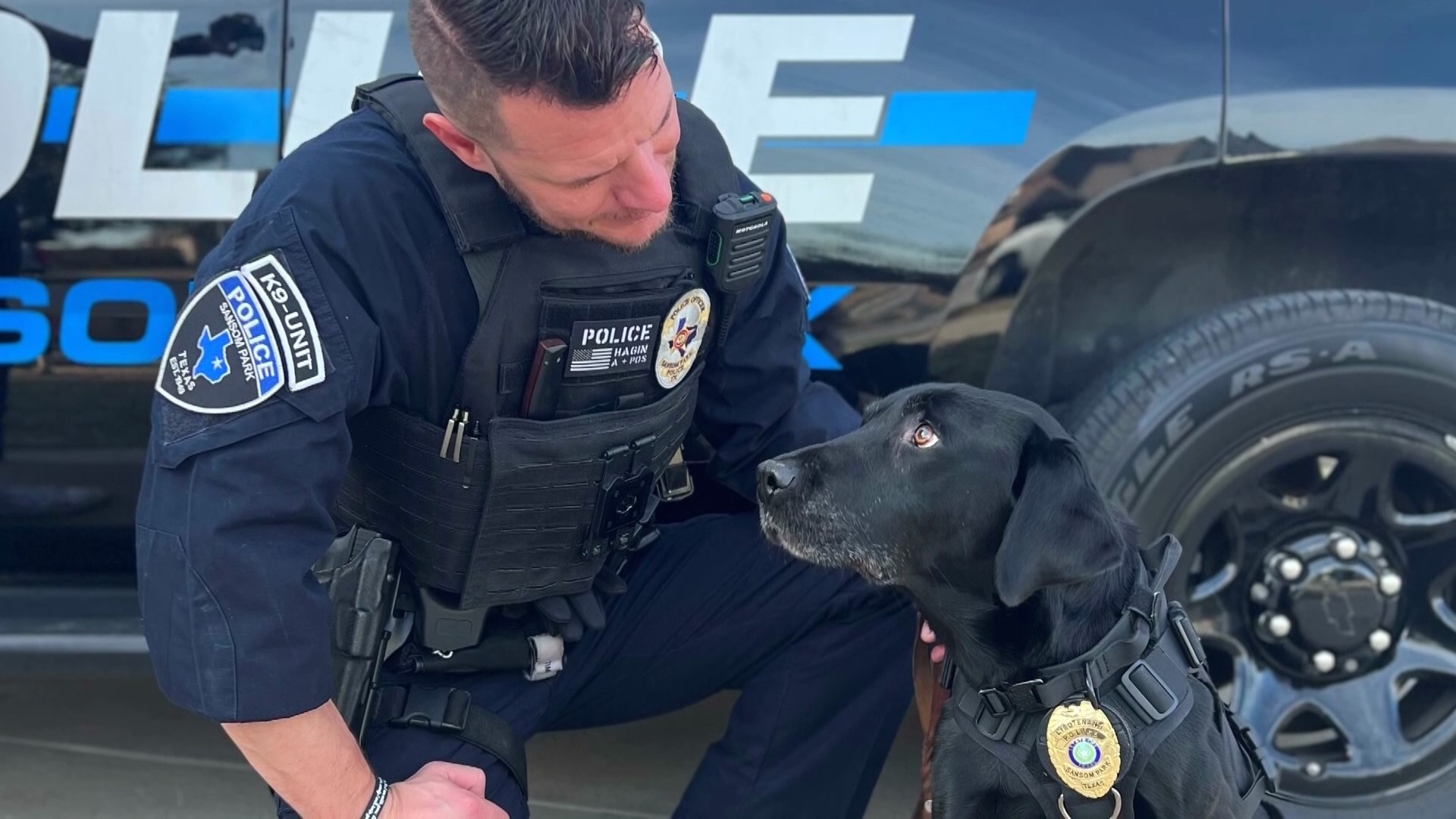 Police in Sansom Park, Texas, announced that K-9 officer Lt. Dan had passed away after a recent cancer diagnosis.