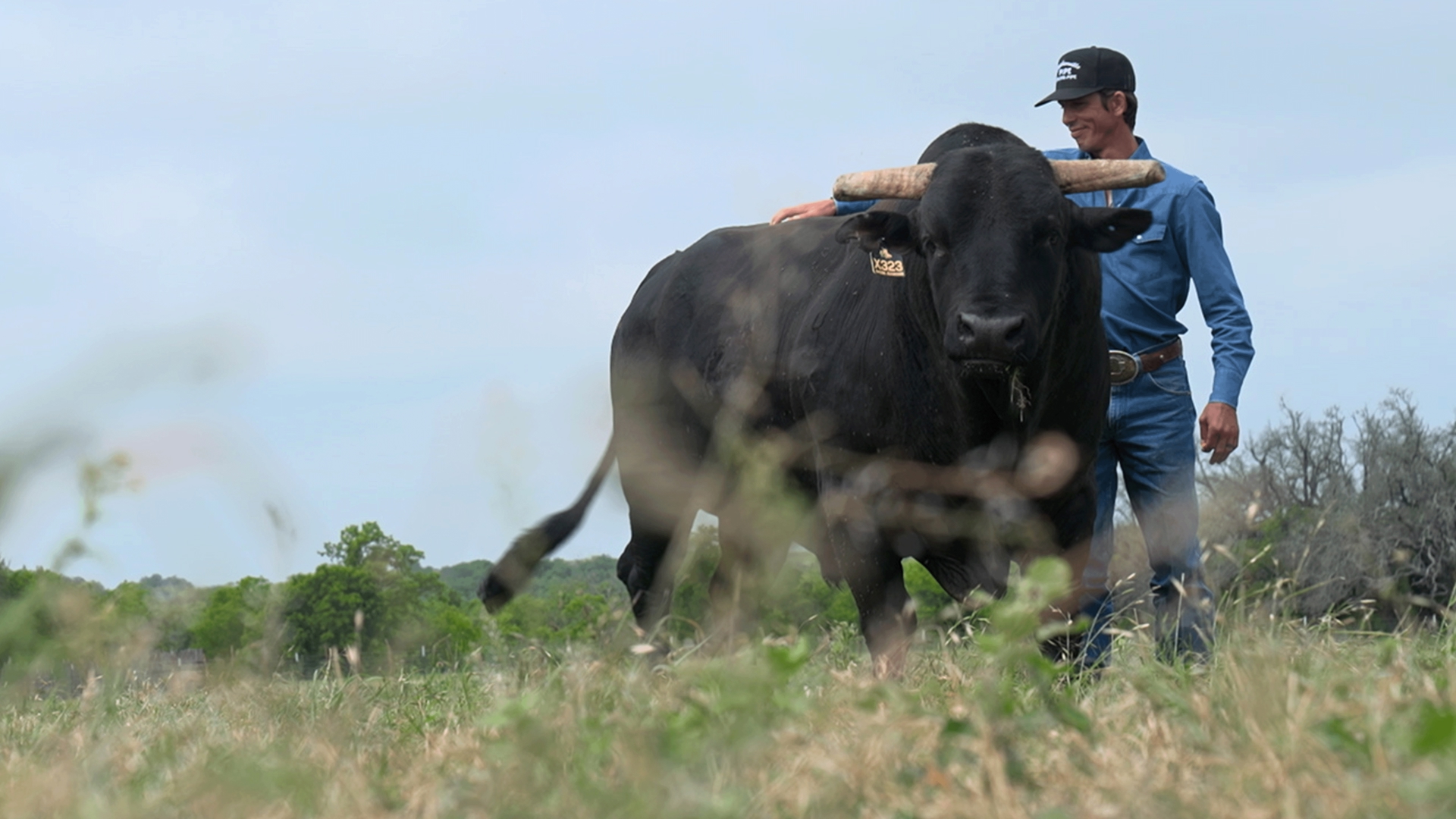 9947 Inpact J.B. Mauney keeps the last bull rode: Meet Arctic Assassin | 11alive.com