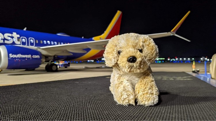 Girl reunited with stuffed animal, Dog Dog, after 'epic adventure' from Dallas Love Field