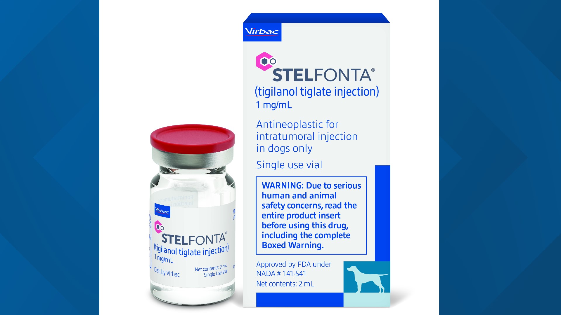 Stelfonta Injection Fort Worth dog beats cancer twice | 11alive.com
