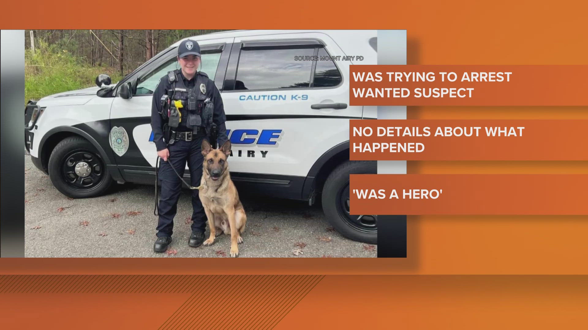 Mount Airy police said K-9 Draco died while trying to take a wanted suspect into custody.