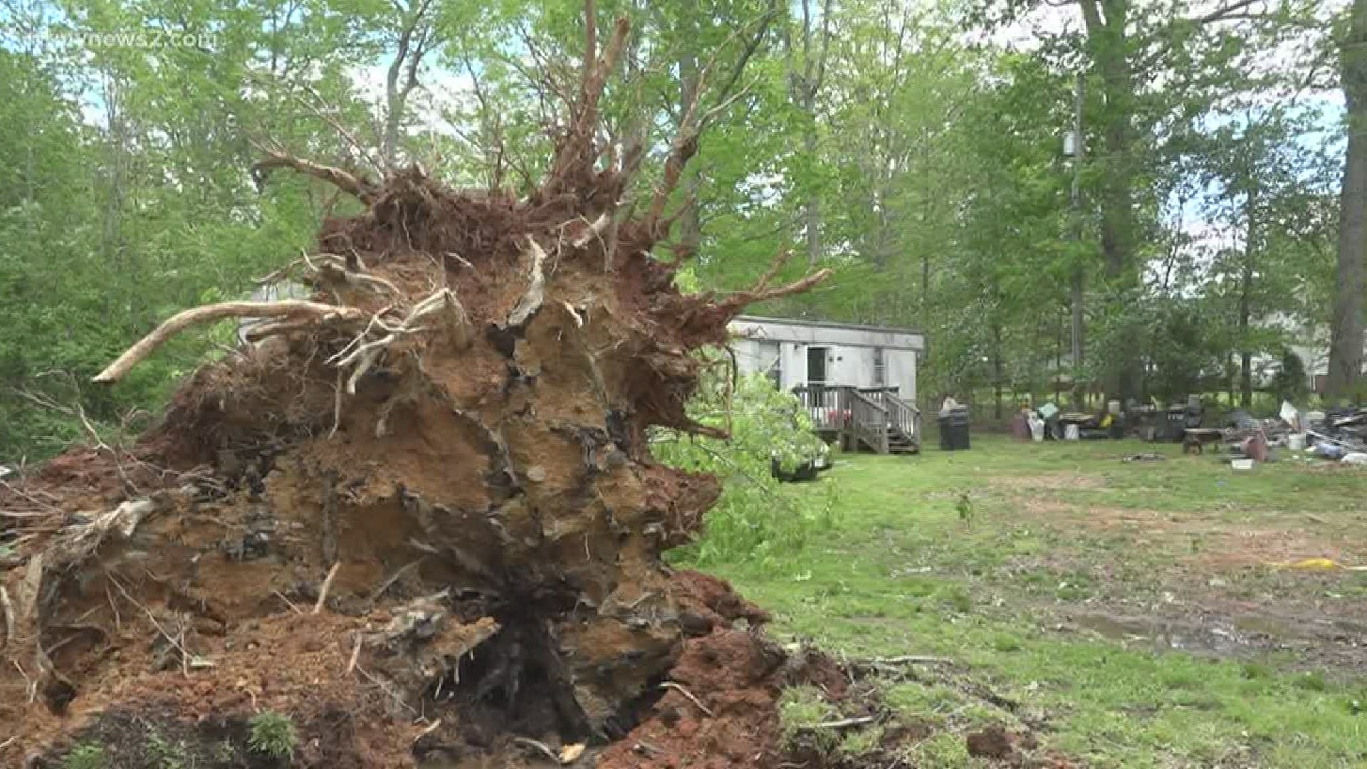 Davidson County woman killed after tree falls on home in Linwood ...