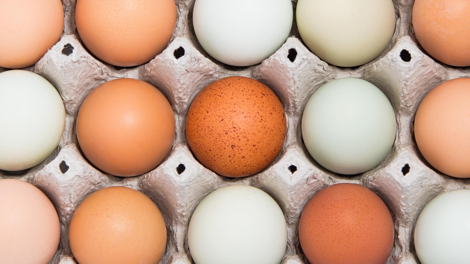 Egg prices are back on the rise due to a resurgence in bird flu.