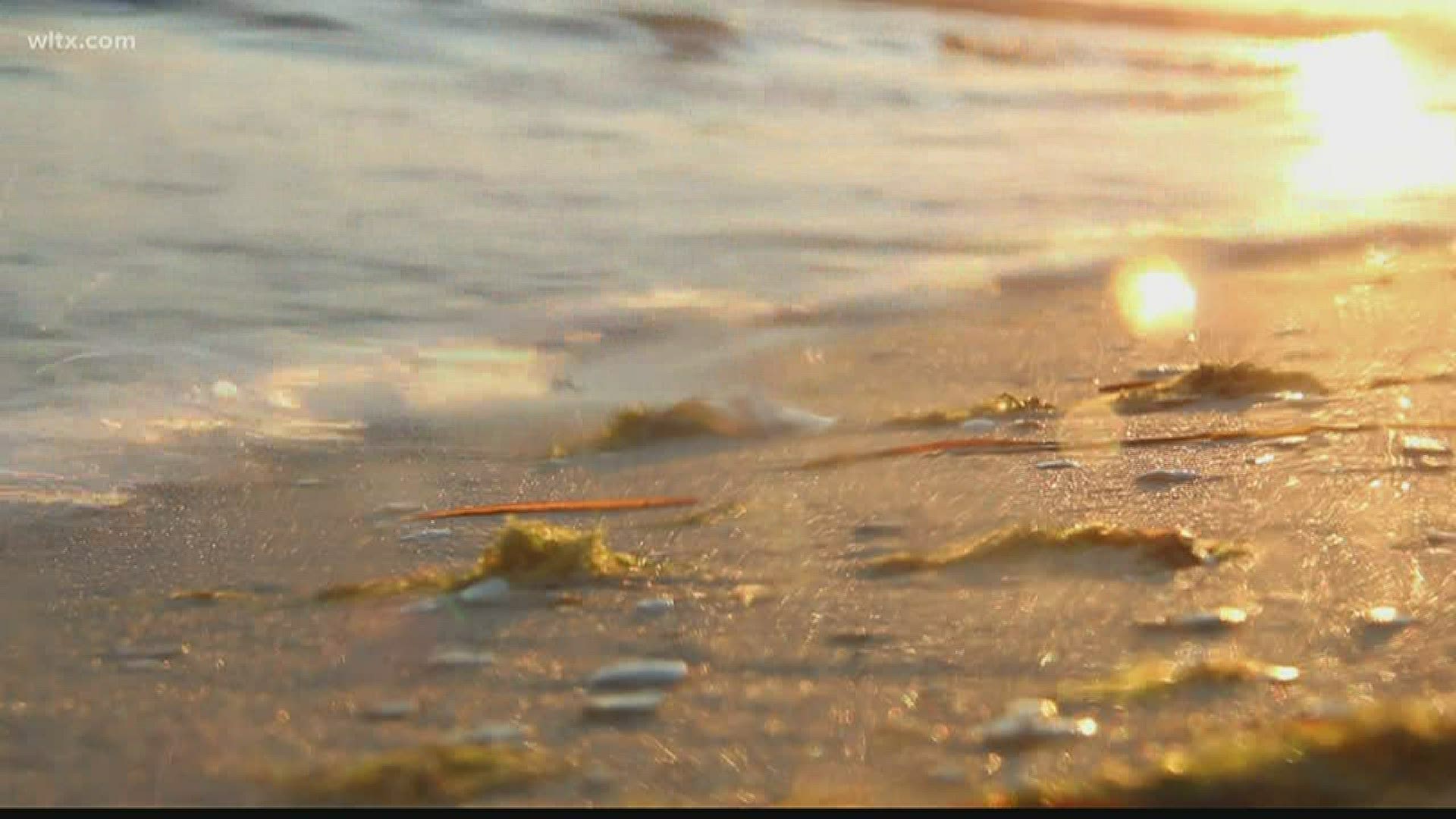 Most of the South Carolina's major public beaches will stay closed to the broader public for now, despite being told by the governor they could reopen if they want.