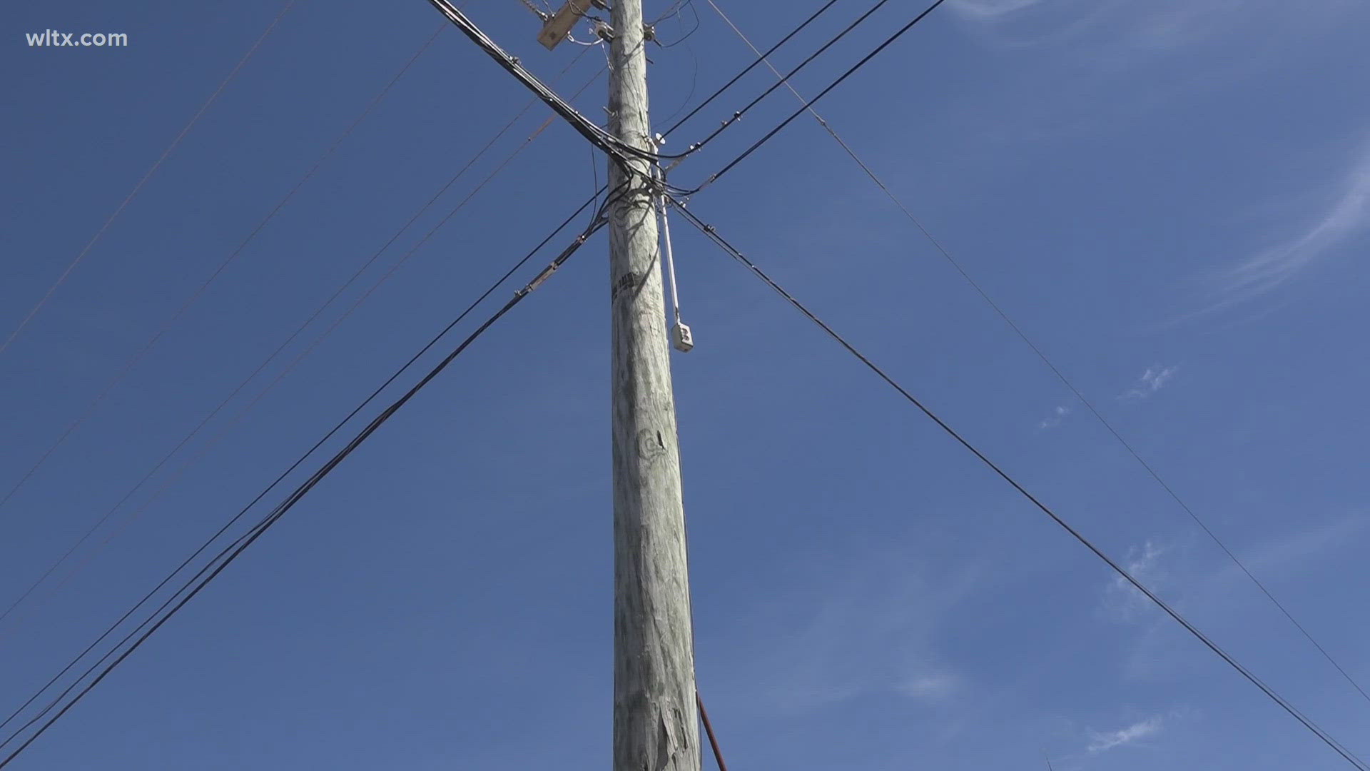 The family of a South Carolina woman struck in the head and killed by a rotting 70-year-old utility pole will get $30 million through a wrongful death settlement.