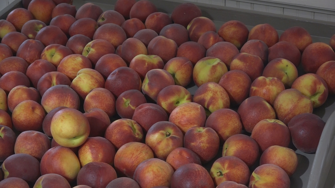 Georgia farmers relieved this peach season | 11alive.com