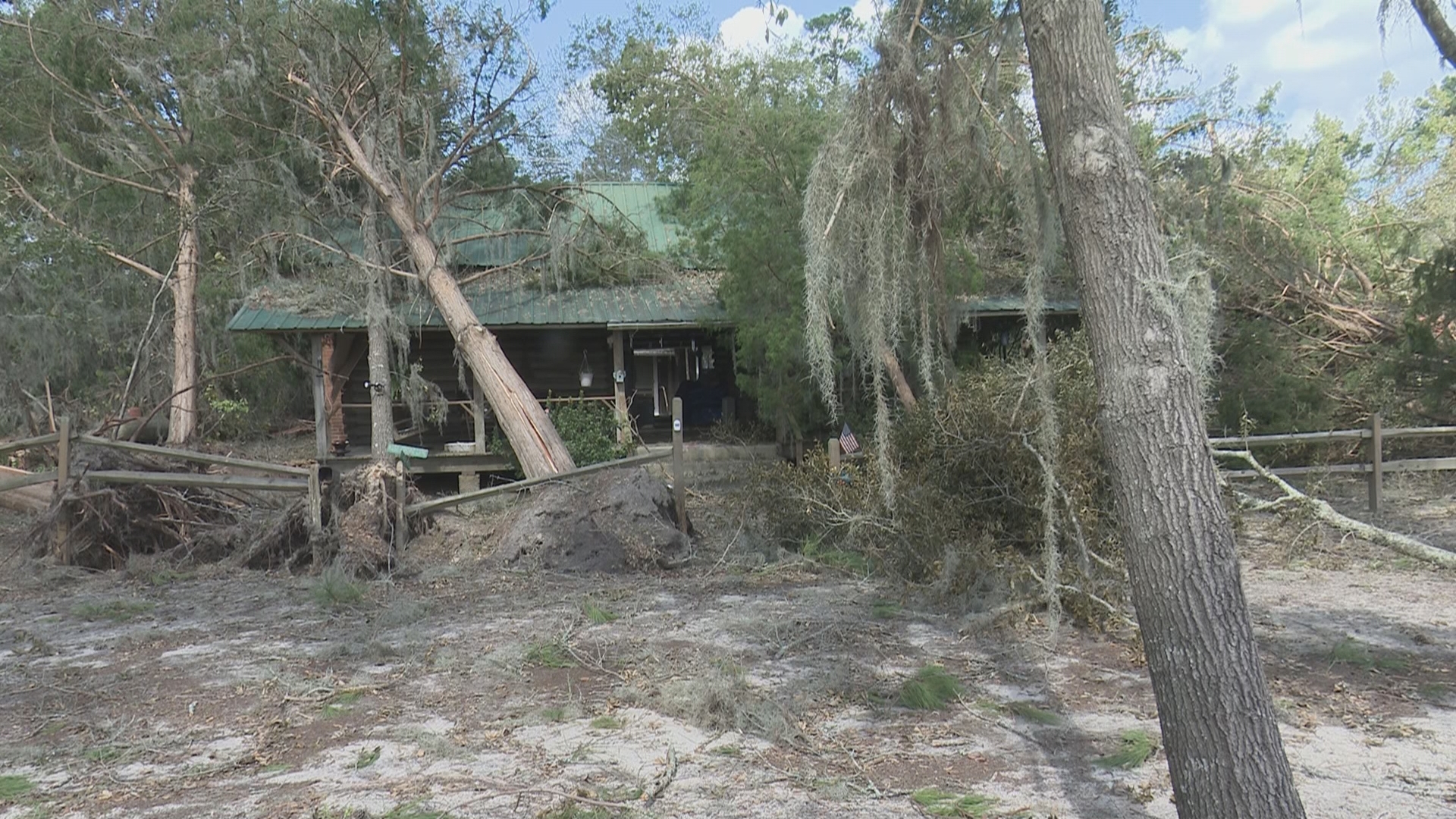 Neighbors cut a path so he can better maneuver around his property, but he doesn't plan to touch trees until someone comes to survey the property.