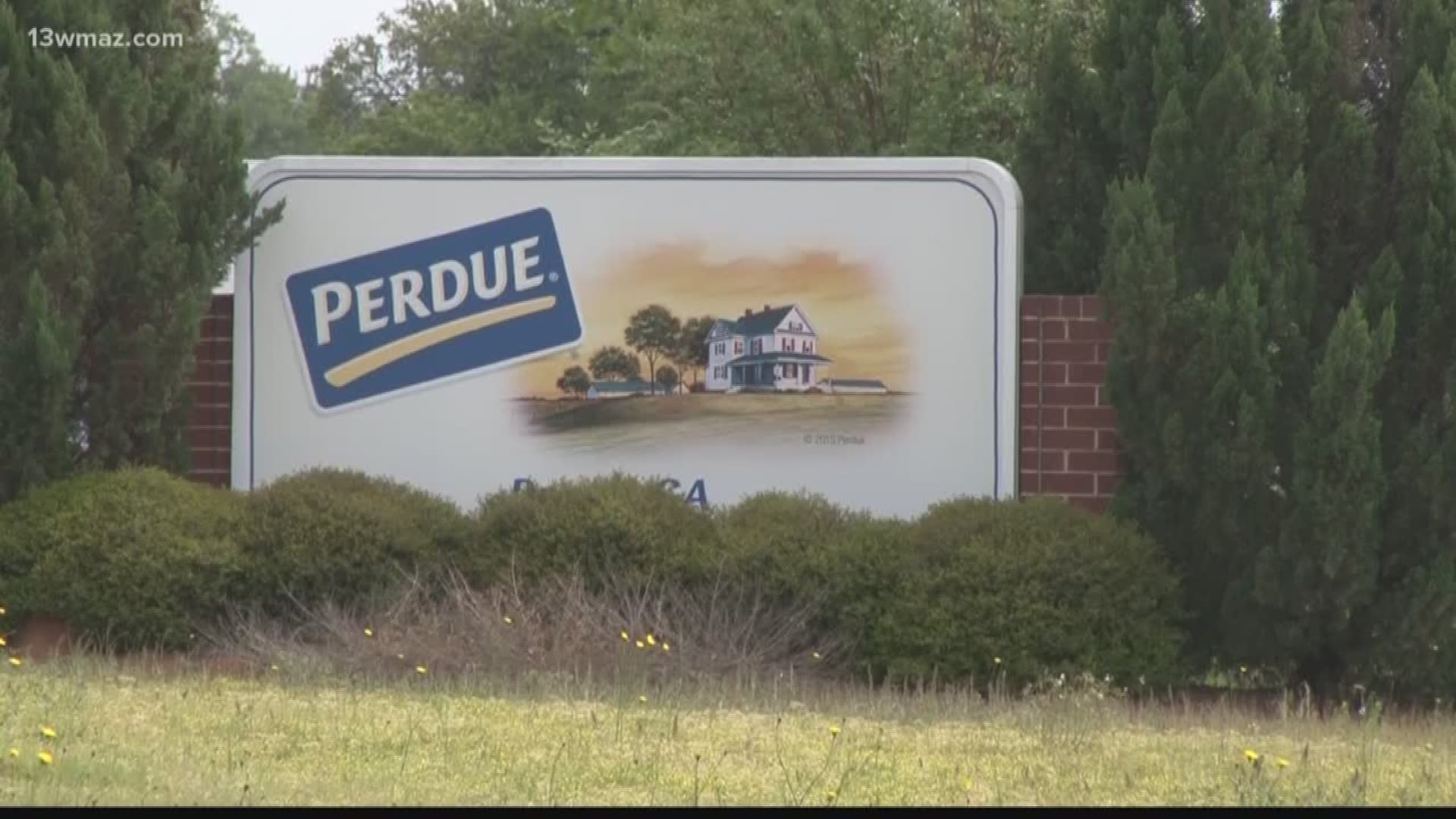 Perdue adding 125 jobs in Houston County