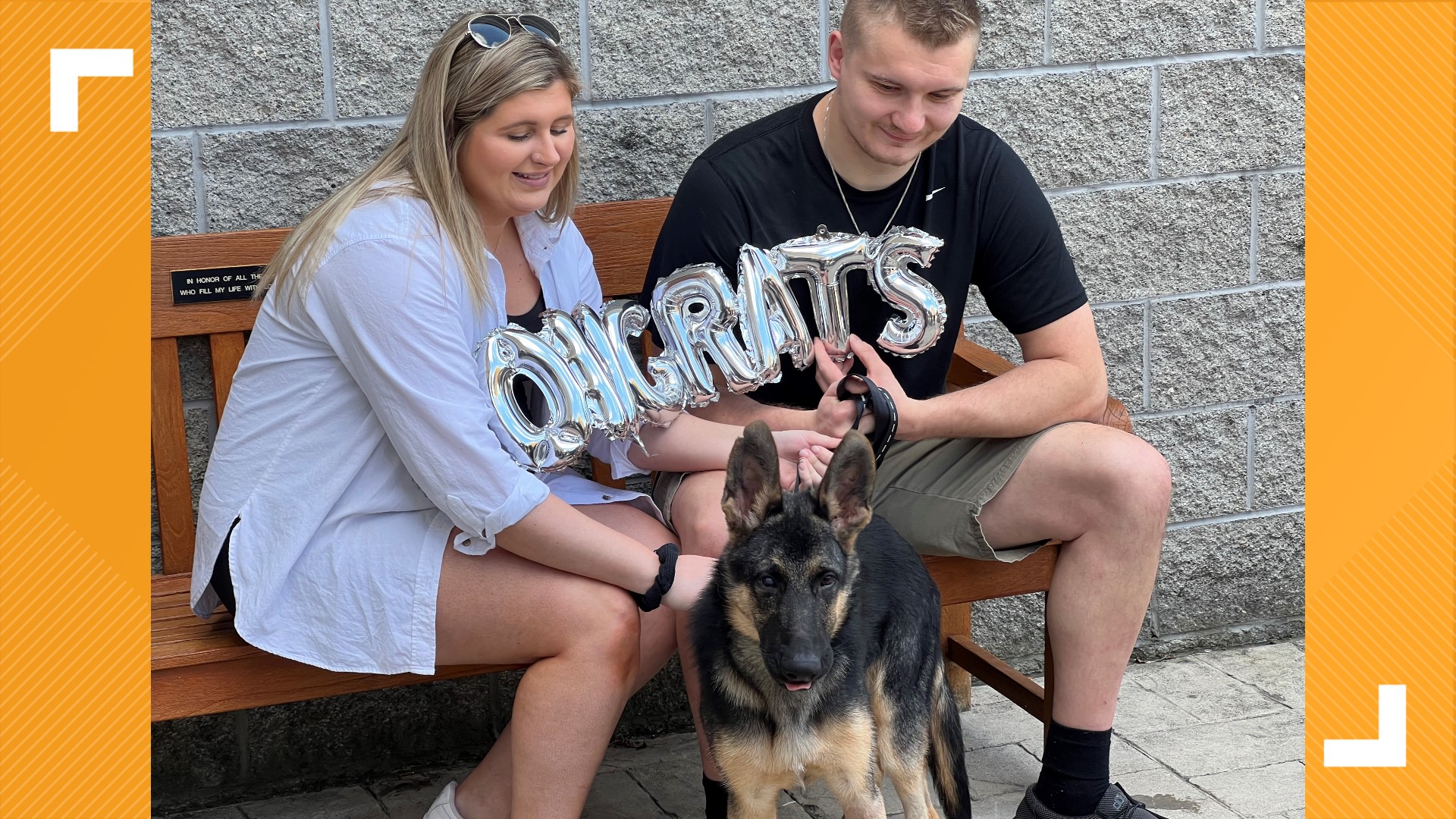 Chance the German Shepherd was found unconscious in York the night of August 23. He's recovered remarkably and has now found his forever home.