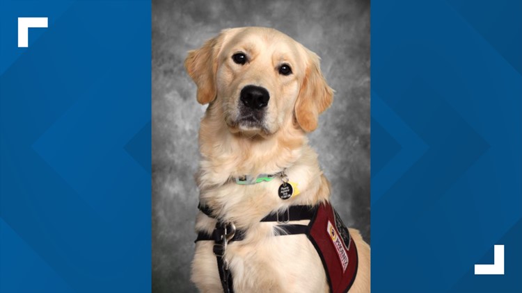 Say biscuit! K9 officer Det. Gibbs is included in high school yearbook photos