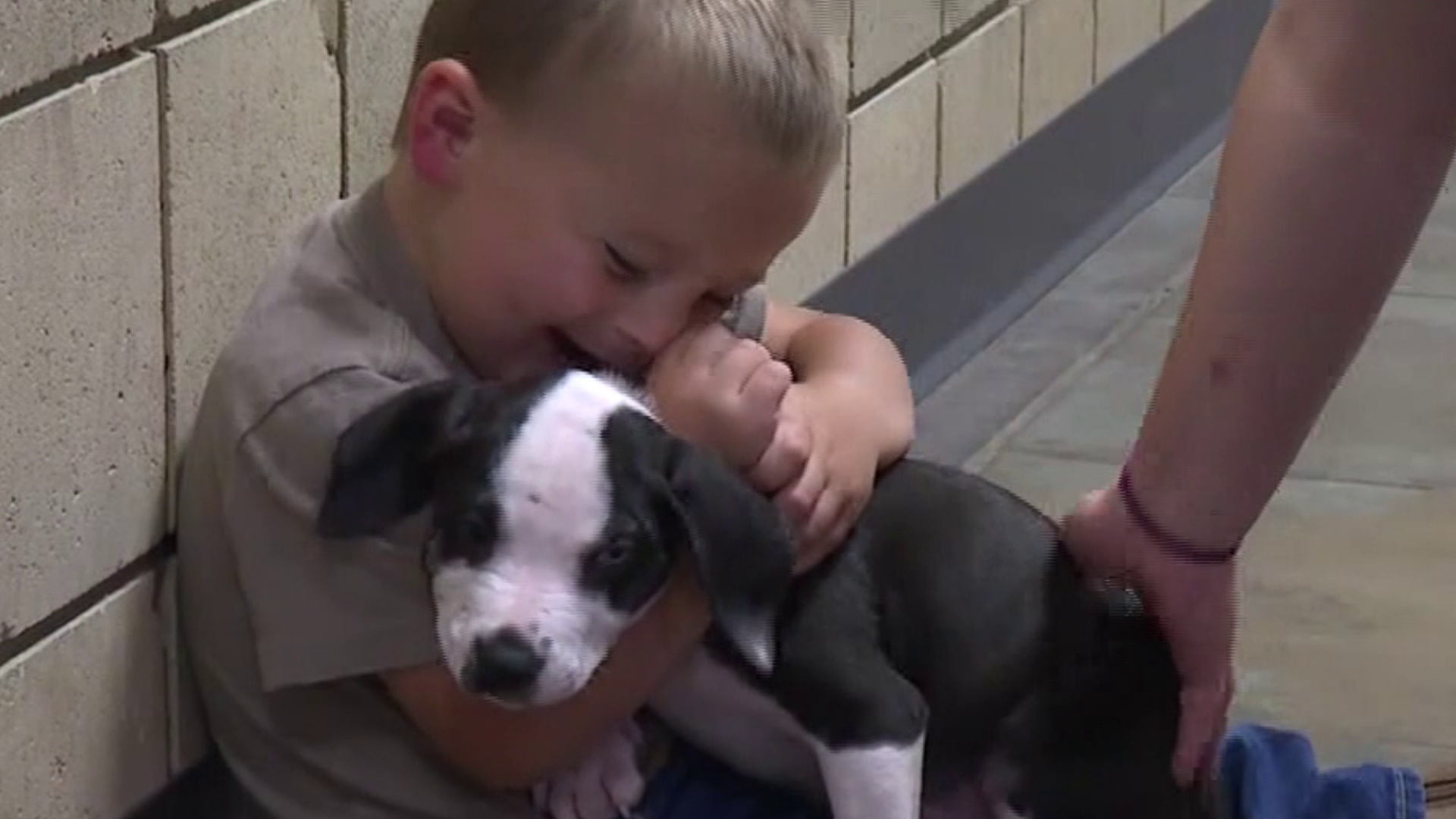 A puppy with a cleft palate has found a forever home and a best friend in a 2-year-old sharing the same birth defect.