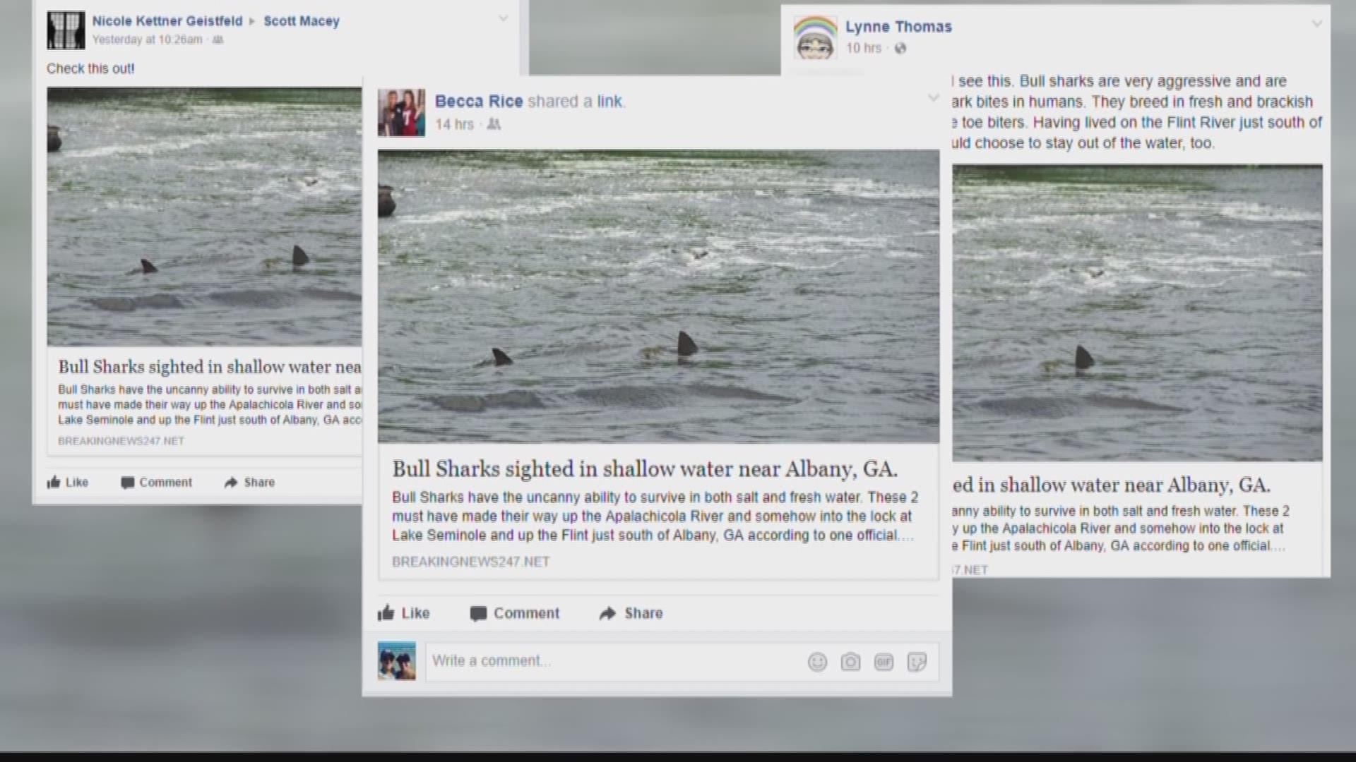 We set out to verify if social media posts about Bull Sharks being spotted far from the ocean