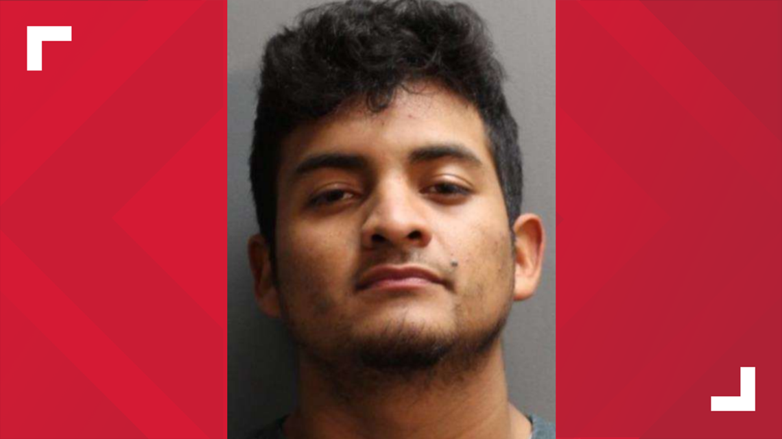 Fla. Grubhub delivery driver accused of stealing puppy arrested - Vimarsana News