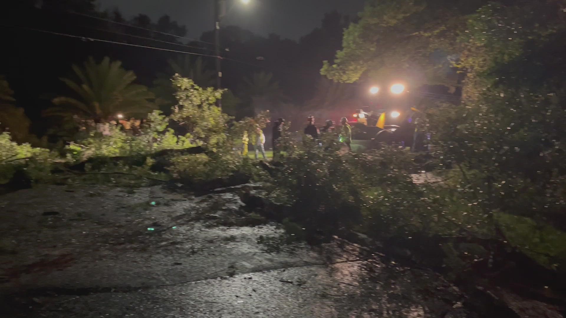 Officials are responding to help move a downed tree that fell during rain caused by Hurricane Ian.
