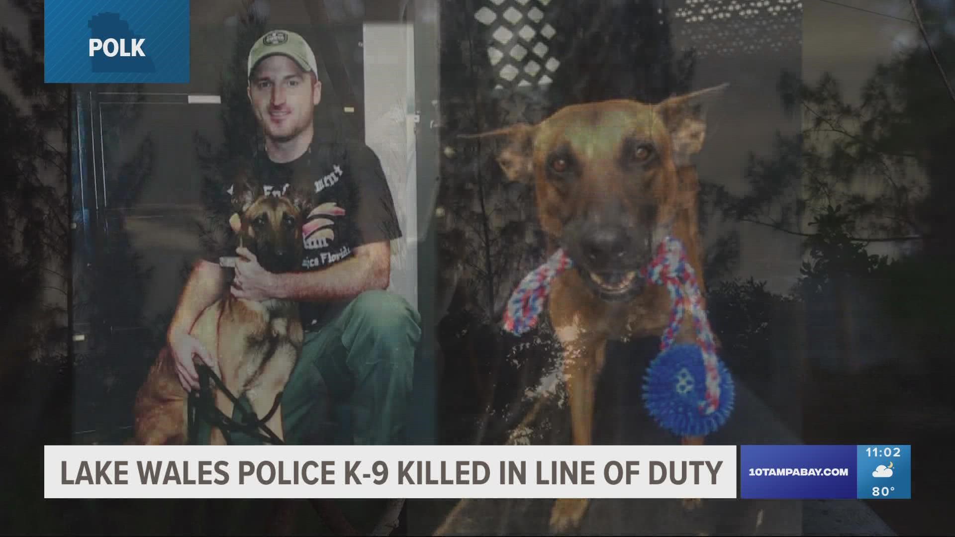 The K9 was killed while apprehending a suspect, police say.