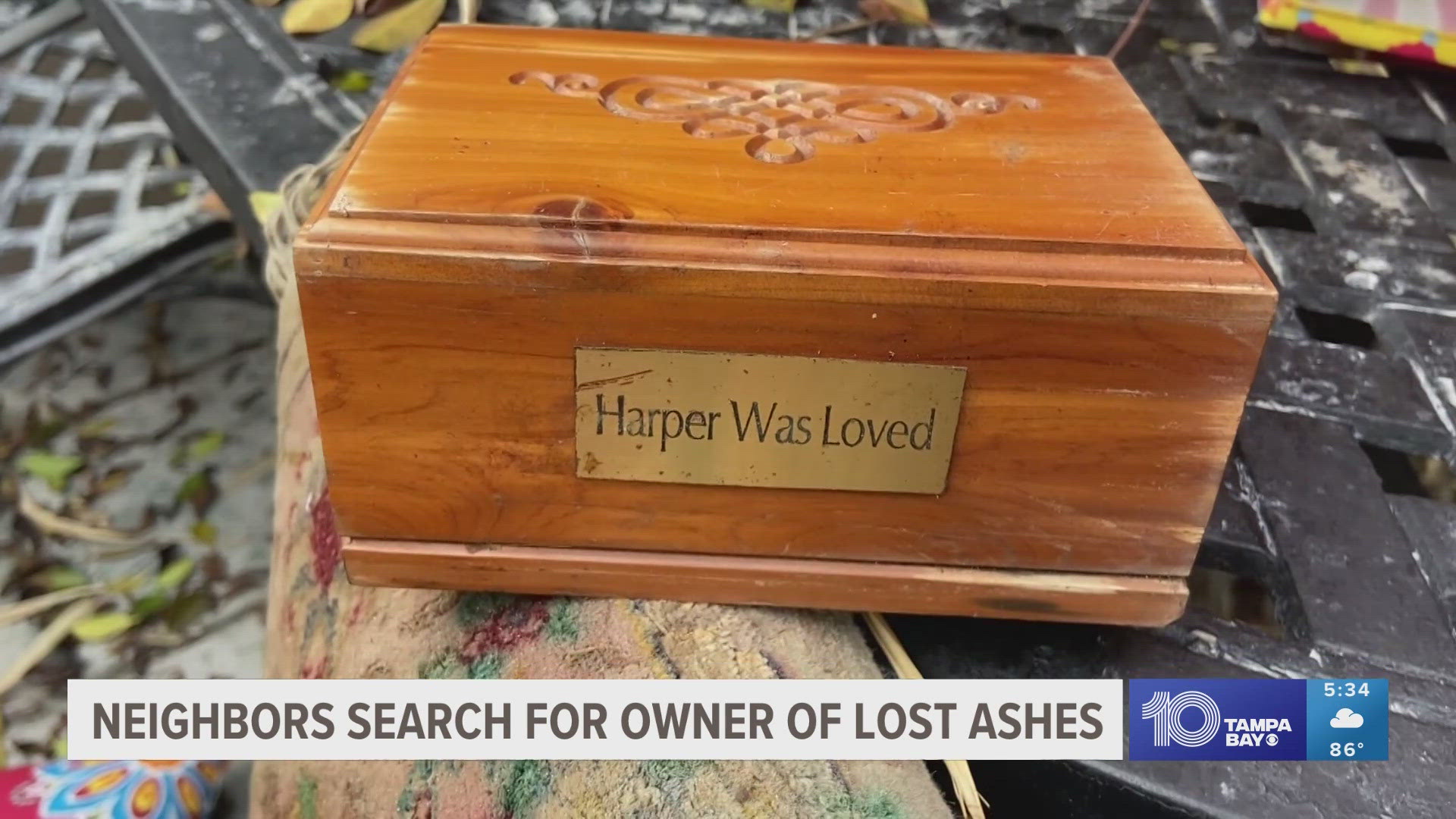 One woman in Siesta Key is searching for the owner of an urn that was washed into her front yard from Helene impacts.