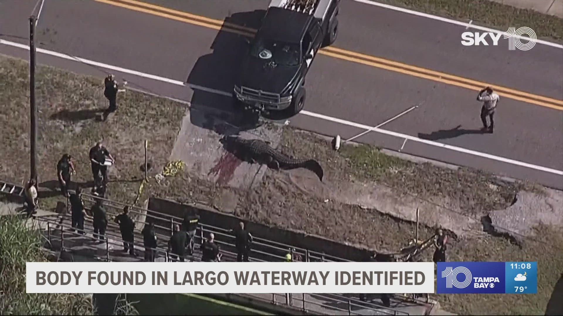 13 Foot Alligator Killed After Human Remains Found In Largo