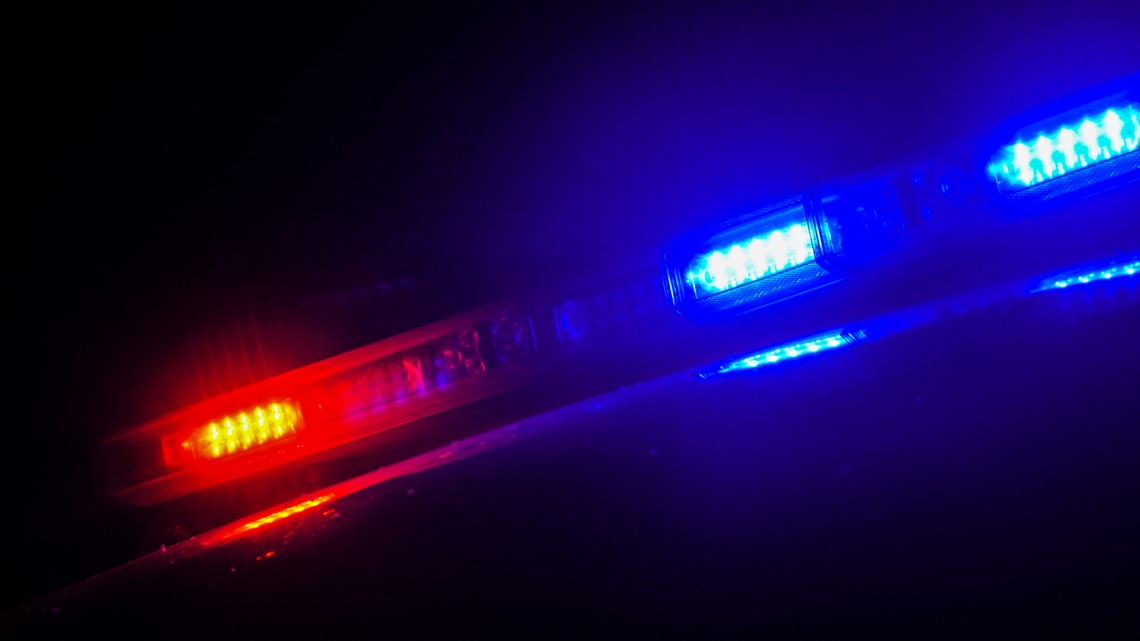 Denver officer saves baby at National Western Stock Show parade - Vimarsana News