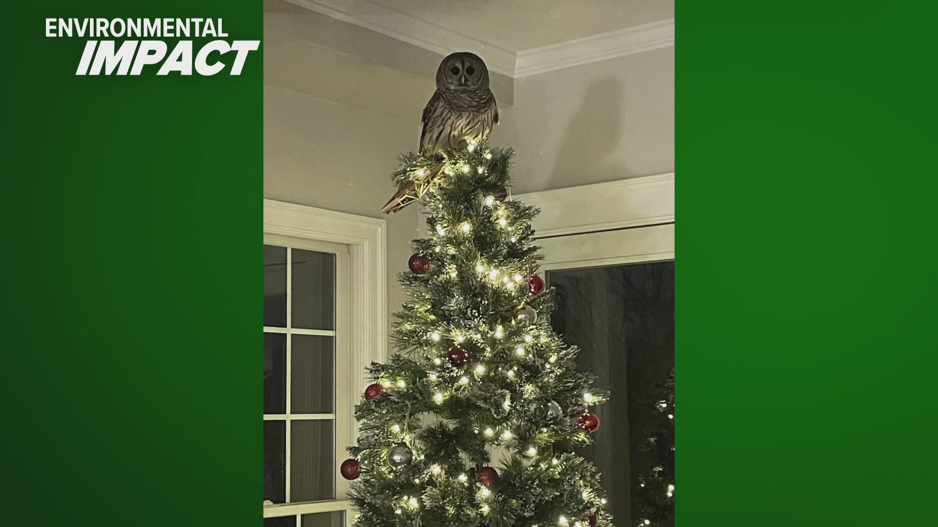 One family got a surprise visit from someone coming down their chimney Thursday — but it wasn’t Saint Nick.