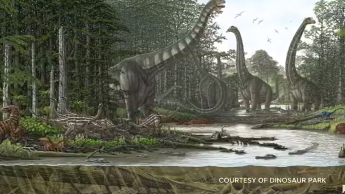 Dinosaur bones discovered in Laurel, Maryland - Vimarsana News