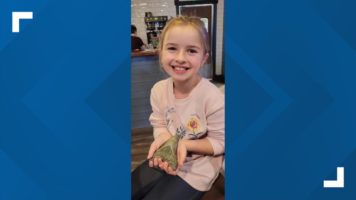 Maryland girl finds a megalodon shark tooth millions of years old - Vimarsana News