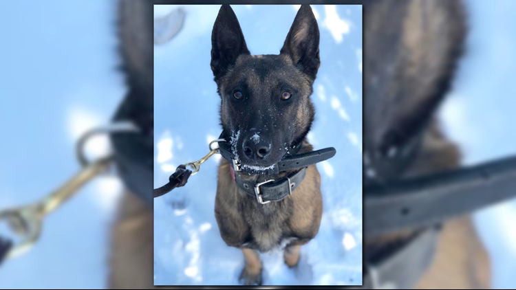 K-9 officer killed, driver dead after Virginia State Police troopers exchange gunfire with driver
