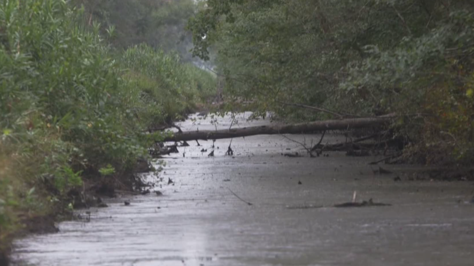 The Great Dismal Swamp is a National Wildlife Refuge. Archaeologists discovered that it was once a secret community for people escaping slavery.