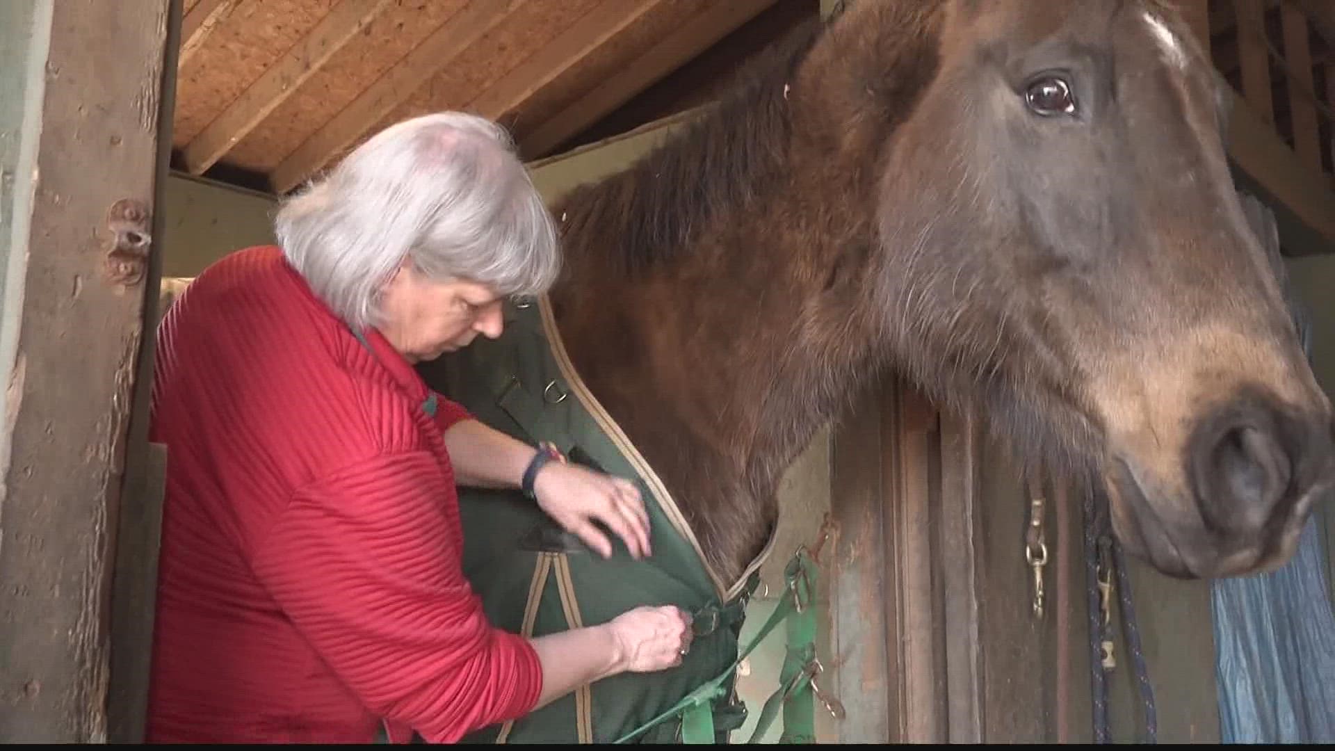 When Lynn Sinclair took a serious fall, she worried about who would care for the animals on her farm. Then, Yvonne Ehrhart showed up with an offer to help.