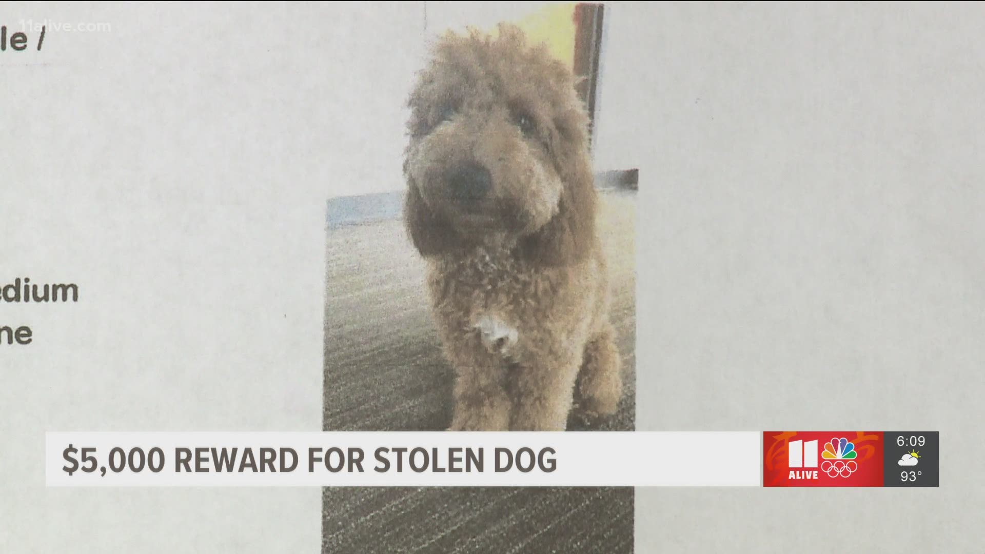 He told police that he left the vehicle running for a short time to provide air conditioning for the dog.