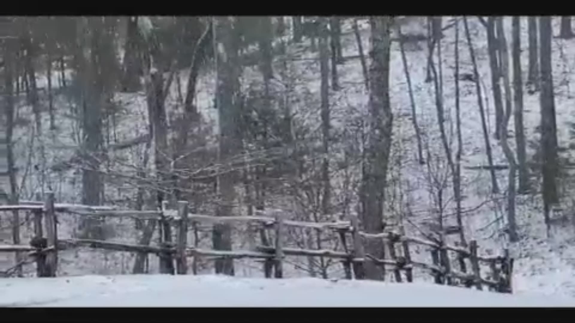 It's snowing in Georgia!