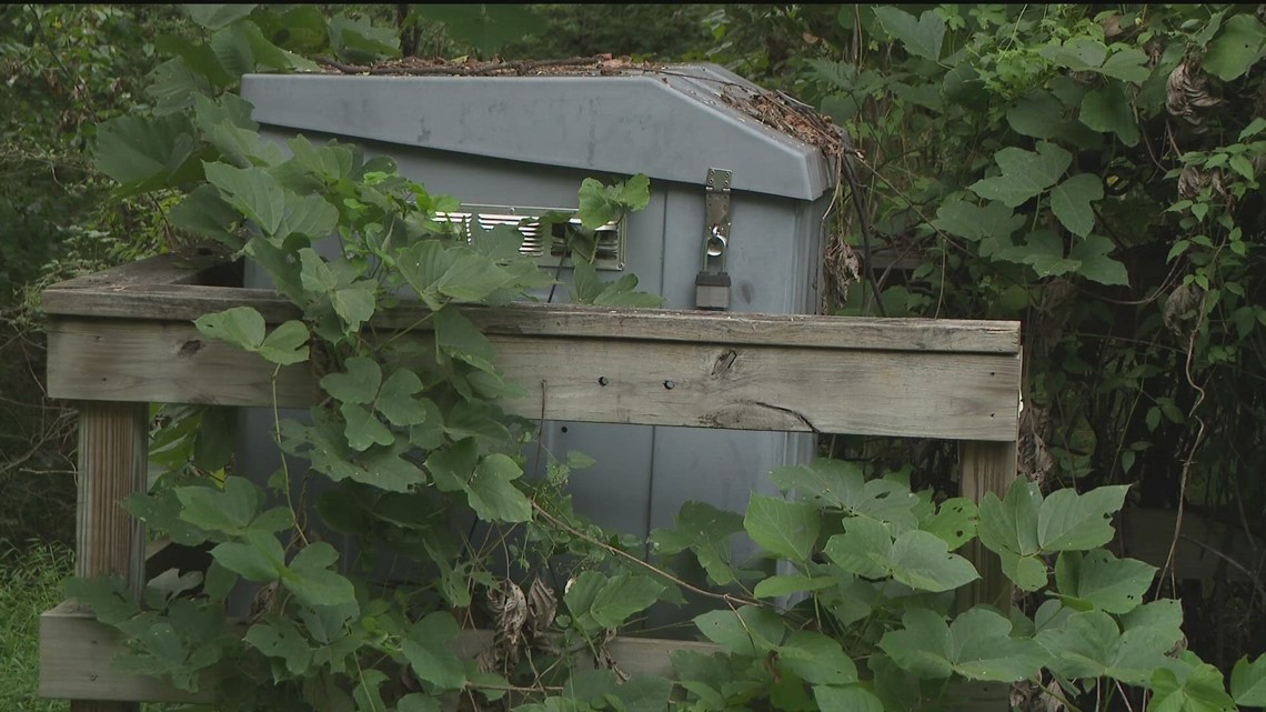 Pollution monitoring shut down at "Cop City" site - Vimarsana News