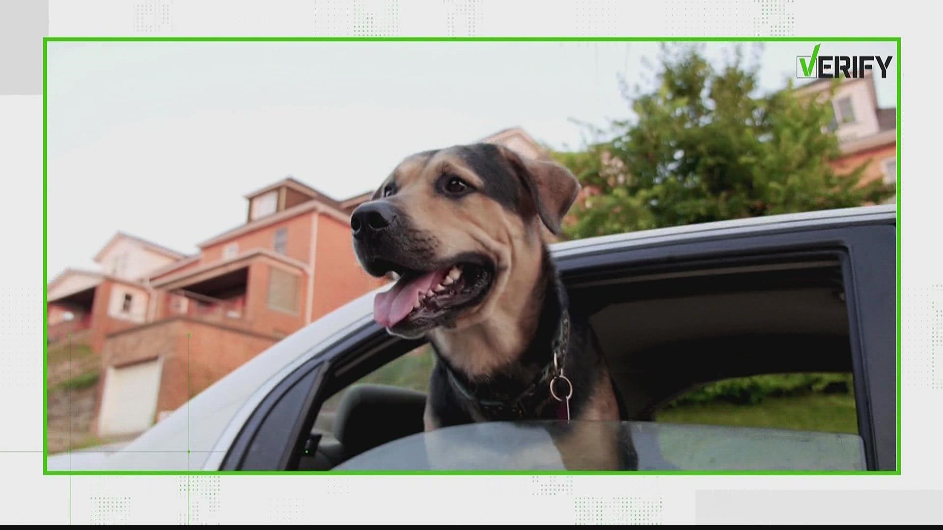 Call 911 if you see a pet inside a car.