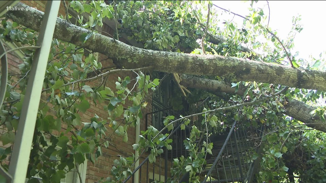 Atlanta's tree canopy could mean trouble as Hurricane Ian moves up coast