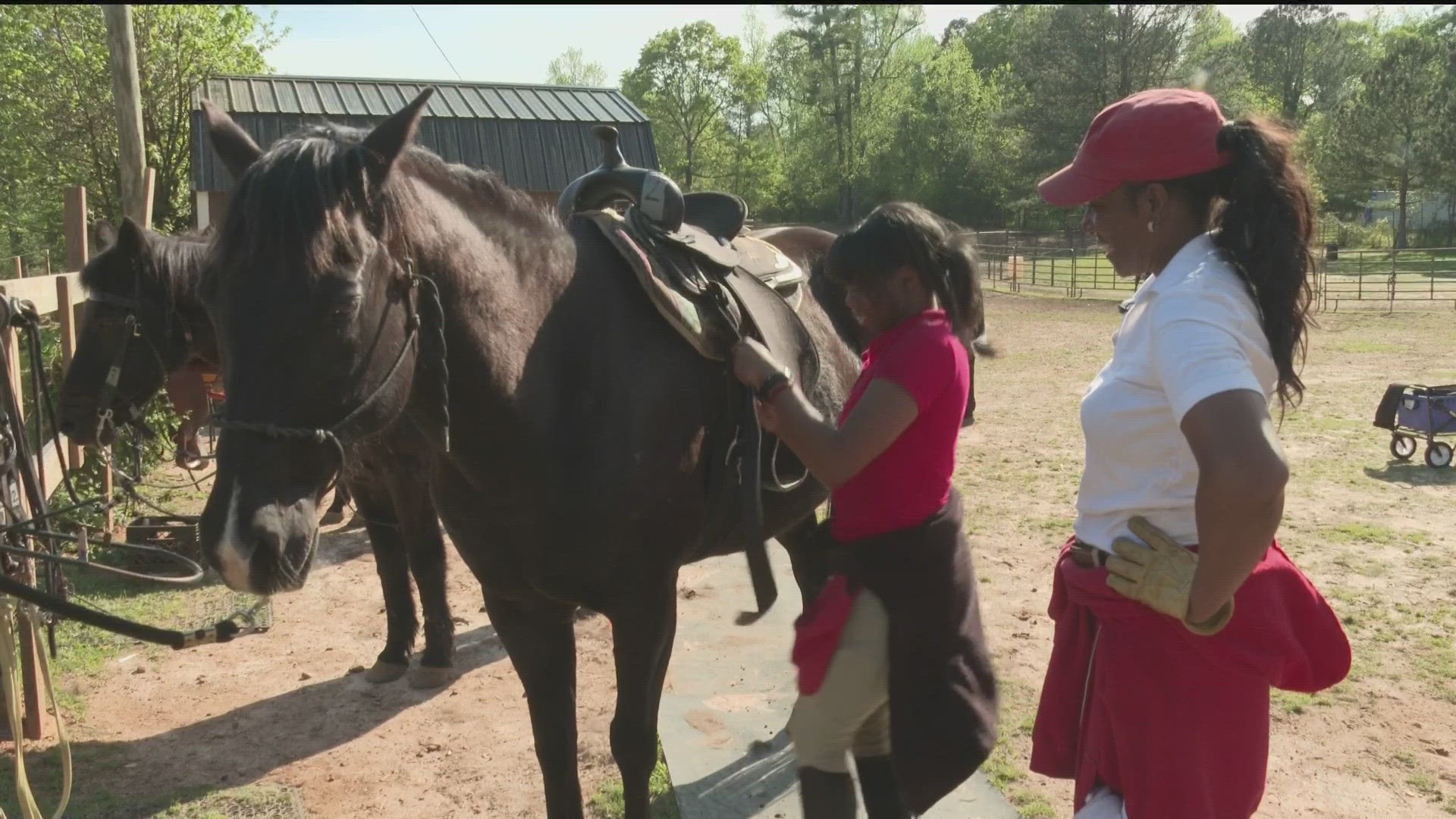 Lilly Morgan, the founder of Morgan Valley Ranch Academy, said horses help the teens better understand themselves.