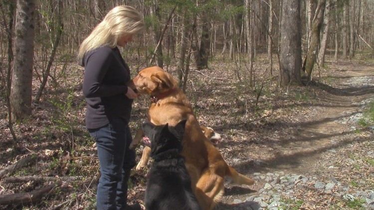 Casting For The Pack A Reality Show About People And Dogs Underway In Atlanta 11alive Com