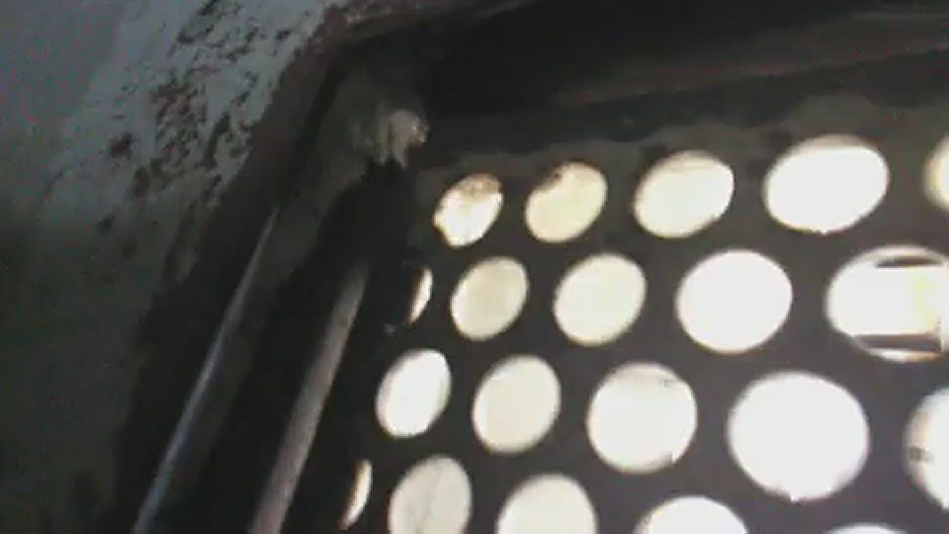 An inmate showed no running water at the sink and no flushing toilets from inside his cell.