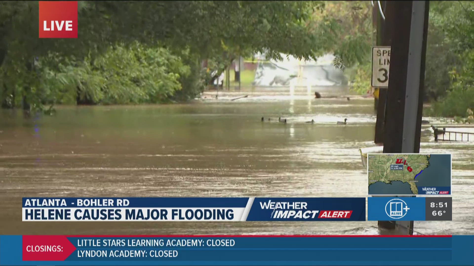 A family of ducks in a flooded Atlanta neighborhood