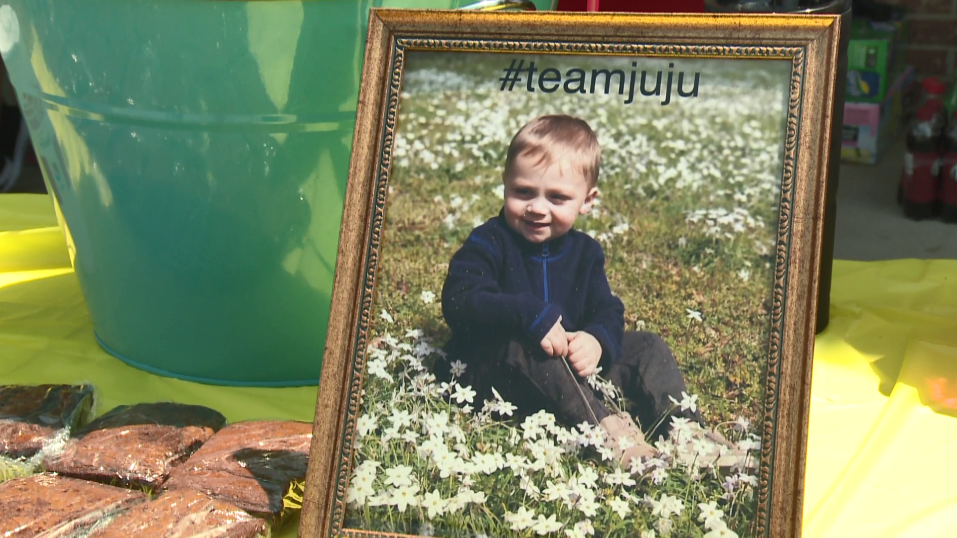 Family mourns toddler who died weeks after being found in backyard pool ...