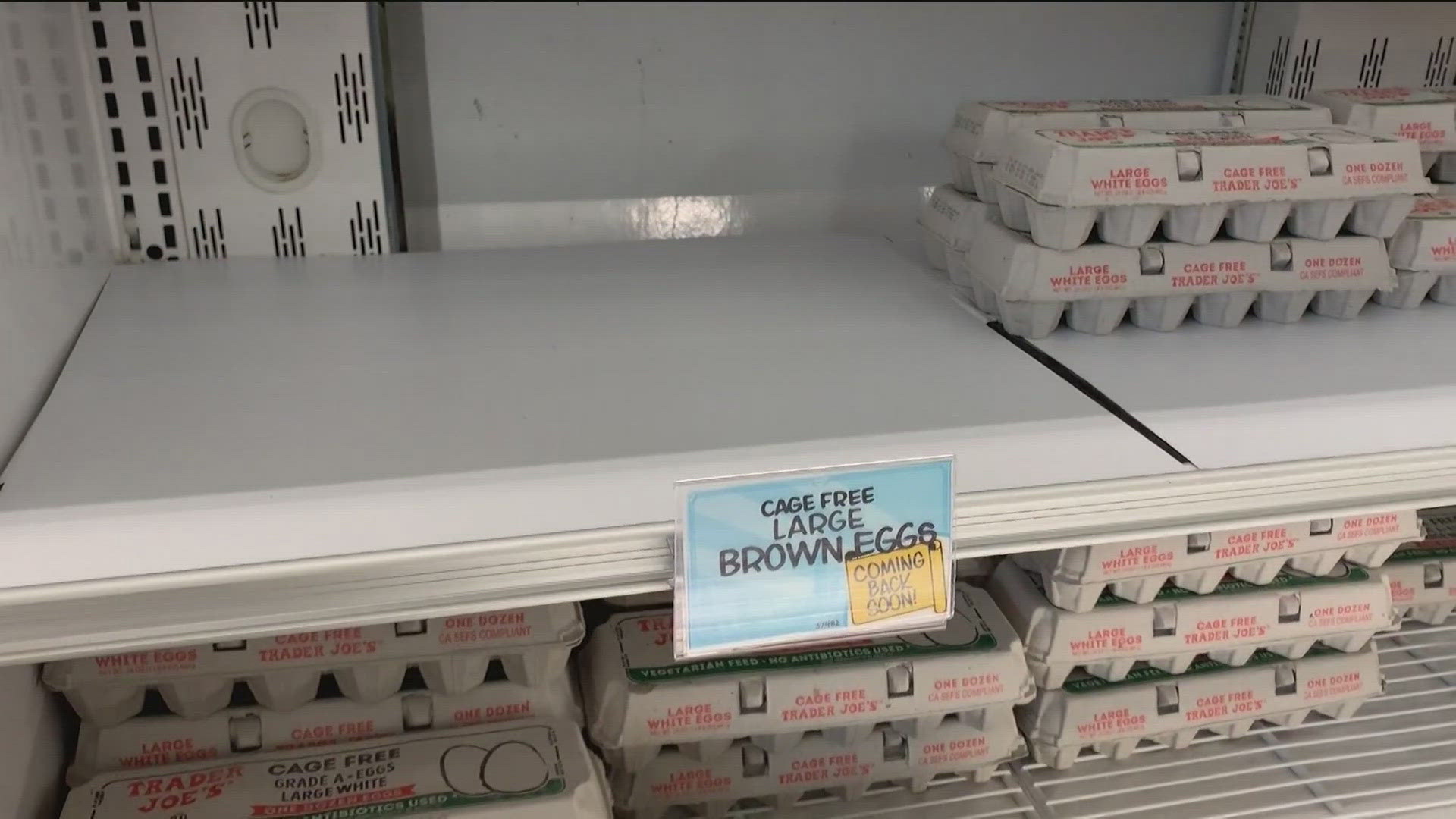 In the run-up to Thanksgiving, you may be noticing something missing in your grocery store.