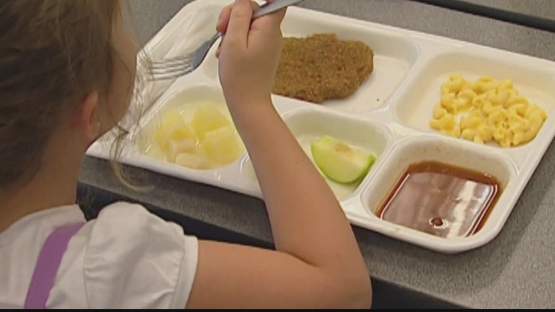 $3 School lunch: North Georgia : r/pics