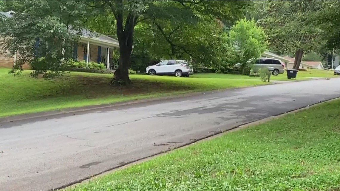 Mableton City residents only need to pay property taxes to county