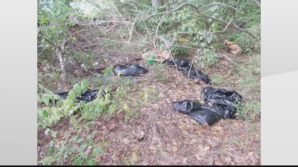 Nearly 2 dozen bags of dead animals found in wooded area in Athens -- some were decapitated