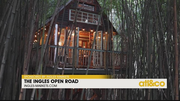 The Ingles Open Road: Atlanta Alpaca Treehouse