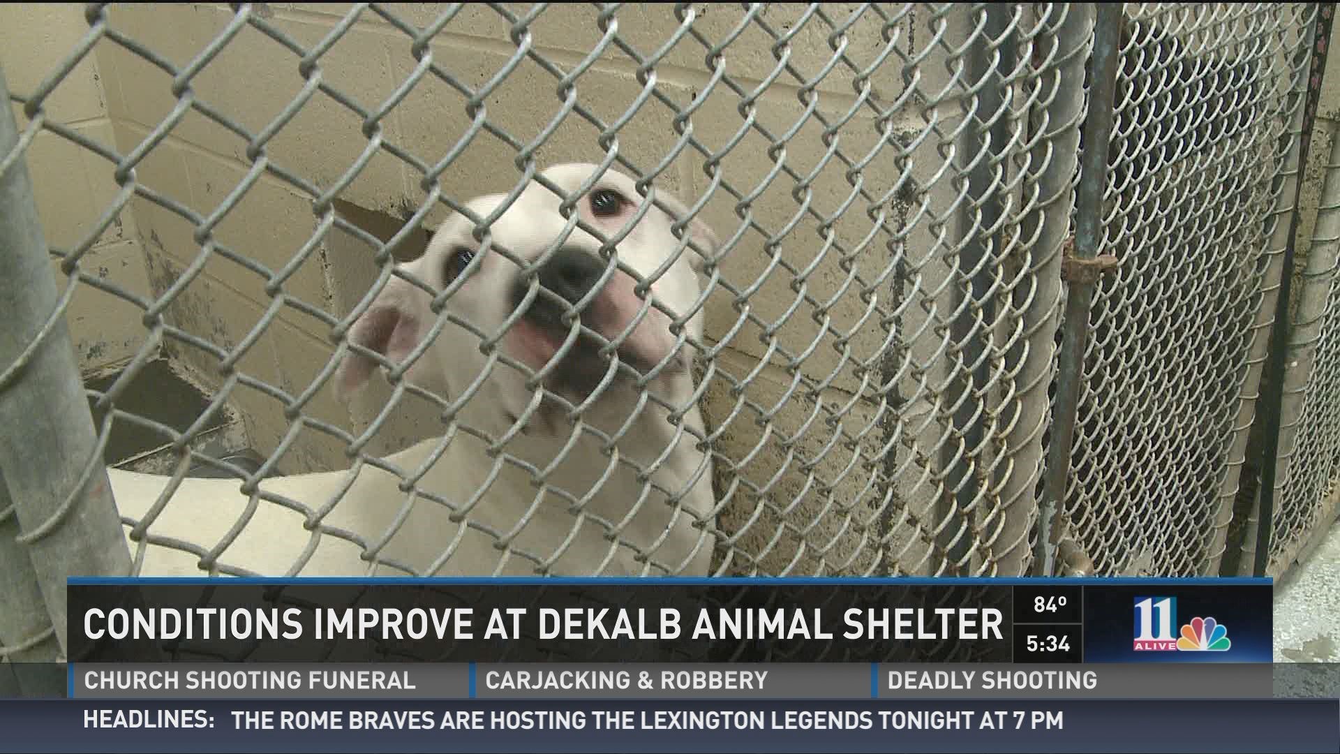 DeKalb Animal Shelter Cites Improvements After Viewer Blast | 11alive.com